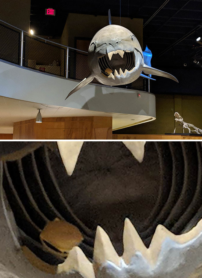 The Natural History Museum In Cleveland Hides Cheeseburgers Around Their Exhibits