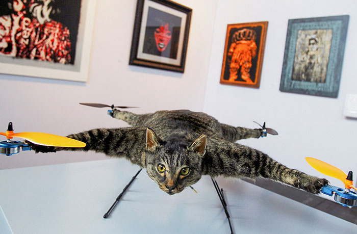 Just A Kitty-Copter At Our Local Museum