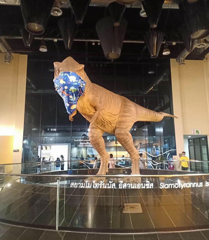 At The Bangkok Museum Of Natural History The T-Rex Is Wearing A Facemask With A Dinosaur Pattern
