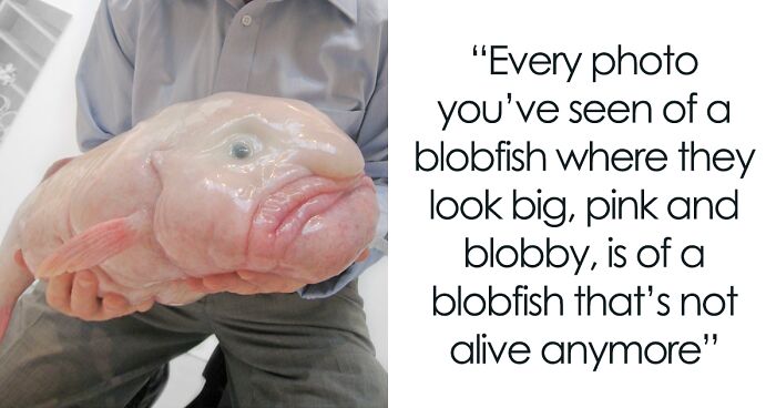 People Are Sharing 35 Not Fun Facts They Wish They Didn’t Know