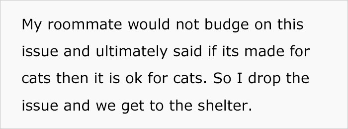 Woman Wanted To Get A Cat And Feed It Vegan Dry Food, Roommate Passes That On To The Shelter Worker And They Decline Her Application Woman Wanted To Get A Cat And Feed It Vegan Dry Food, Roommate Passes That On To The Shelter Worker And They Decline Her Application