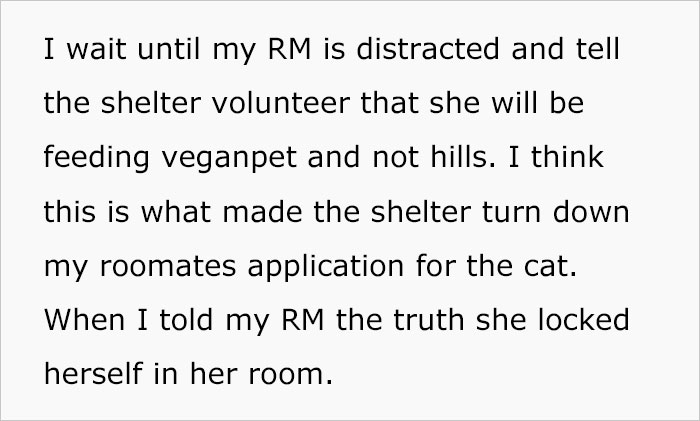 Woman Wanted To Get A Cat And Feed It Vegan Dry Food, Roommate Passes That On To The Shelter Worker And They Decline Her Application