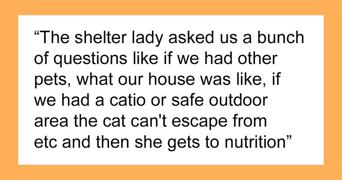 Woman Wanted To Adopt A Cat And Make It Go Vegan, Her Roommate Lets The Shelter Know And They Don’t Accept Her Application