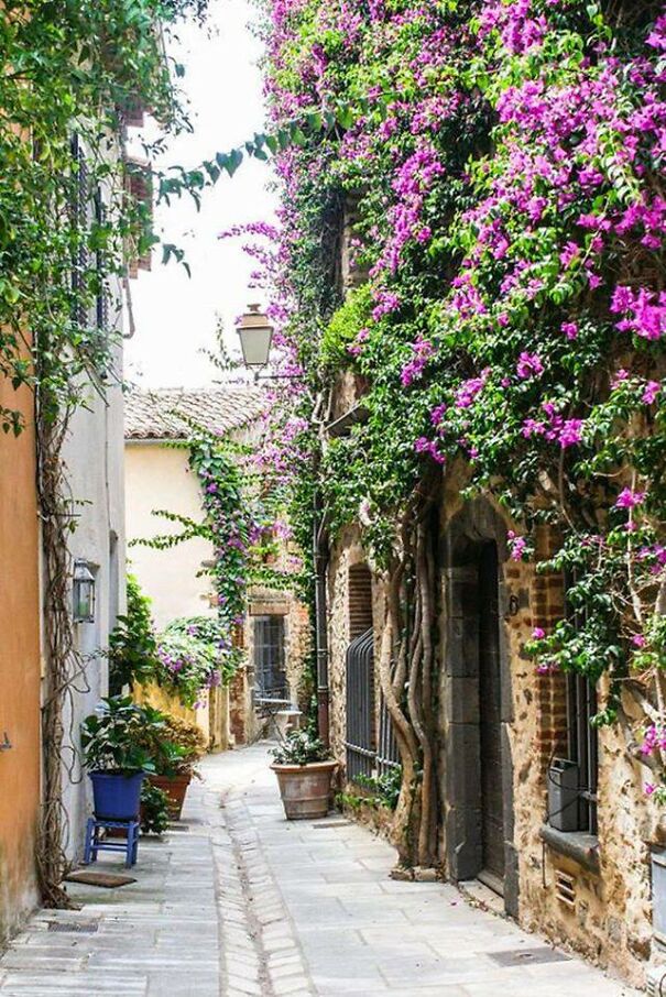 rue-provence-61d5516f43565.jpg