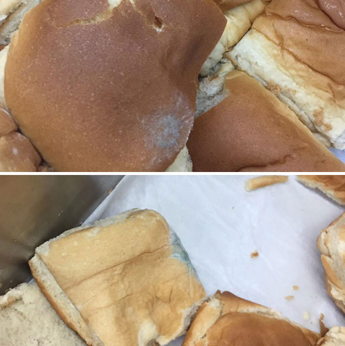 My School Served Moldy Bread Today