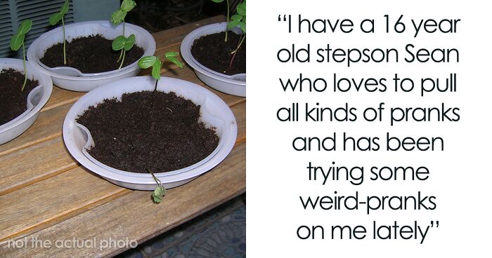 16 Y.O. Stepson Deliberately Waters His Stepdad’s Plants With Bleach, Stepdad Cancels Their Family Trip To Discipline Him