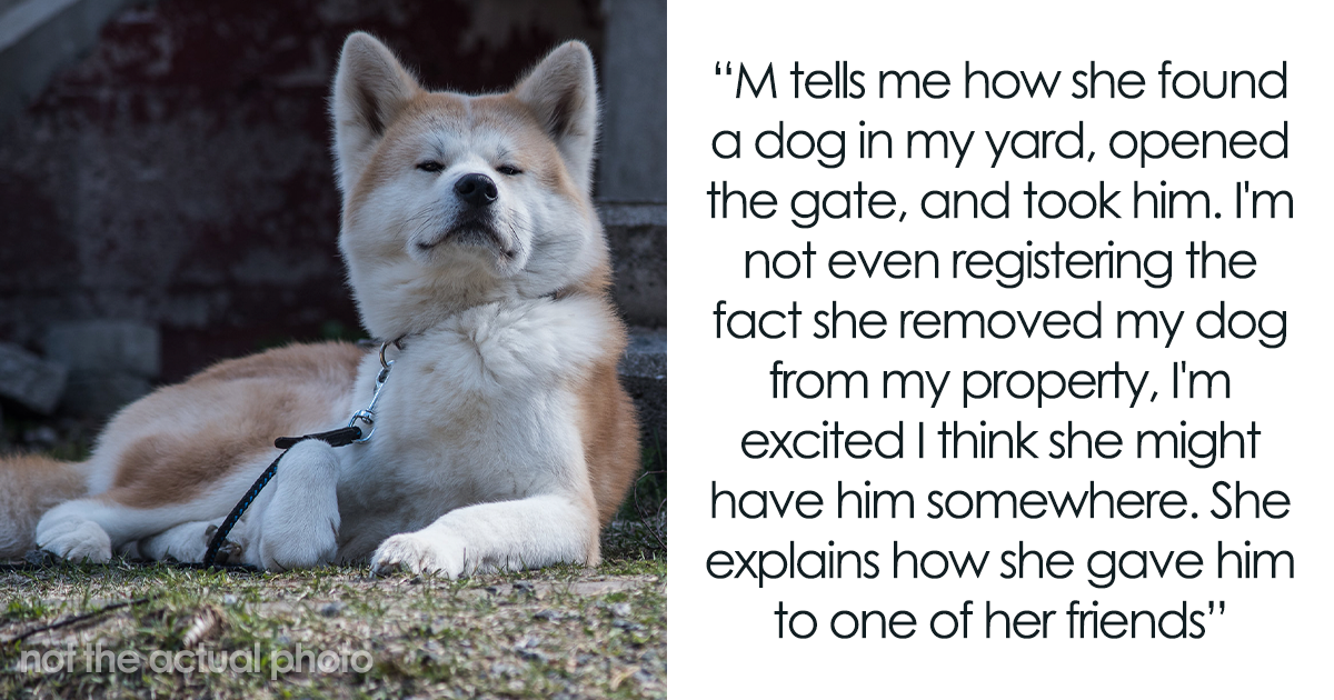 Neighbor Trespasses Into Woman's Yard, Takes Her Dog Thinking It's A Stray, And Gives It Away To Friend, Then Gets Upset After Neighbor Comes To Take It Back From Them - Vimarsana News