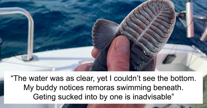 30 Of The Most Creepy Or Weird Things People Witnessed In Oceans, As Shared  In This Online Group