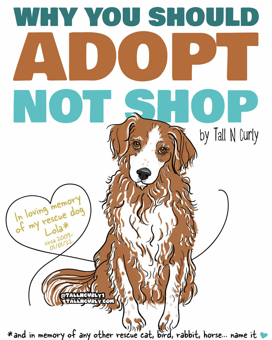 Why You Should Adopt, Not Shop: The Story Of My Rescue Dog Lola