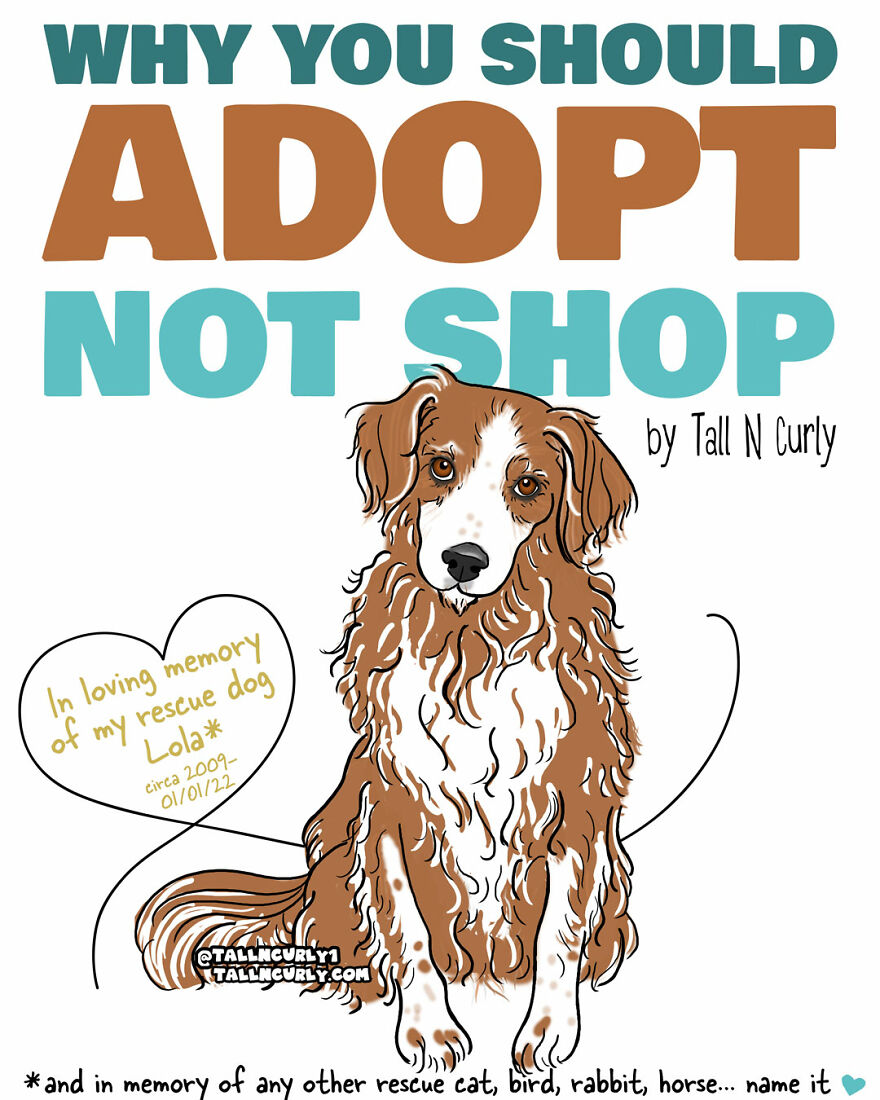 Why You Should Adopt, Not Shop: The Story Of My Rescue Dog Lola Why You Should Adopt, Not Shop: The Story Of My Rescue Dog Lola