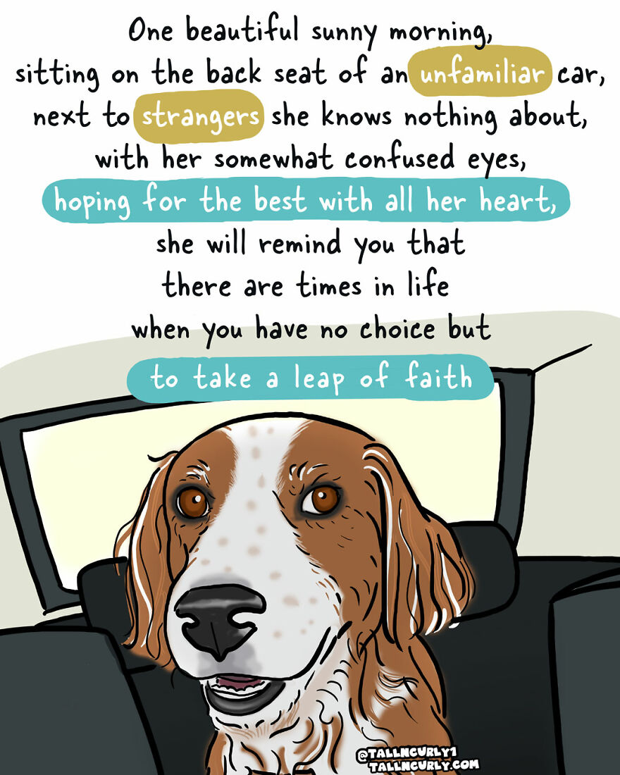 Why You Should Adopt, Not Shop: The Story Of My Rescue Dog Lola