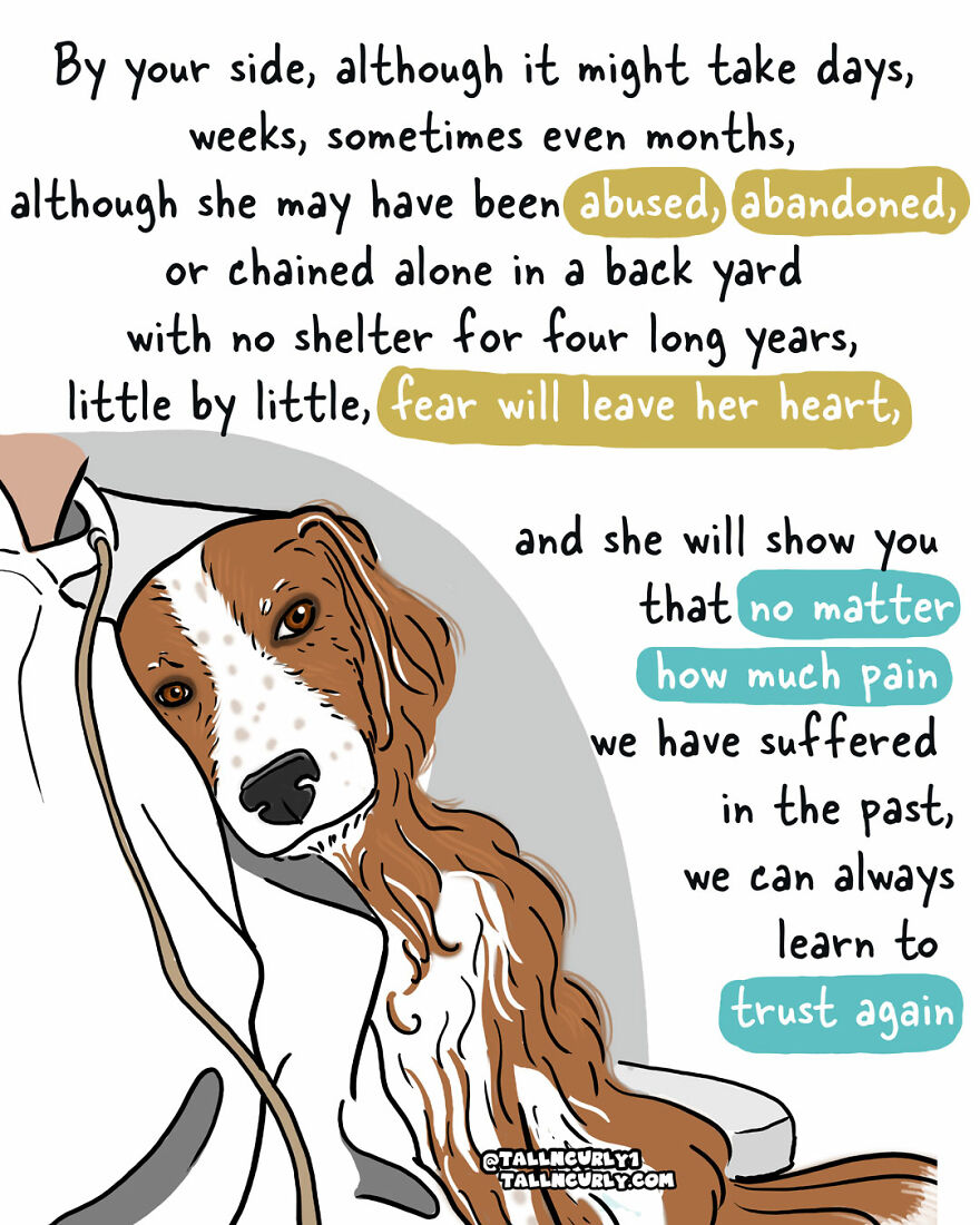 Why You Should Adopt, Not Shop: The Story Of My Rescue Dog Lola Why You Should Adopt, Not Shop: The Story Of My Rescue Dog Lola