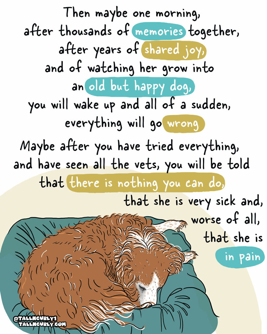 Why You Should Adopt, Not Shop: The Story Of My Rescue Dog Lola Why You Should Adopt, Not Shop: The Story Of My Rescue Dog Lola