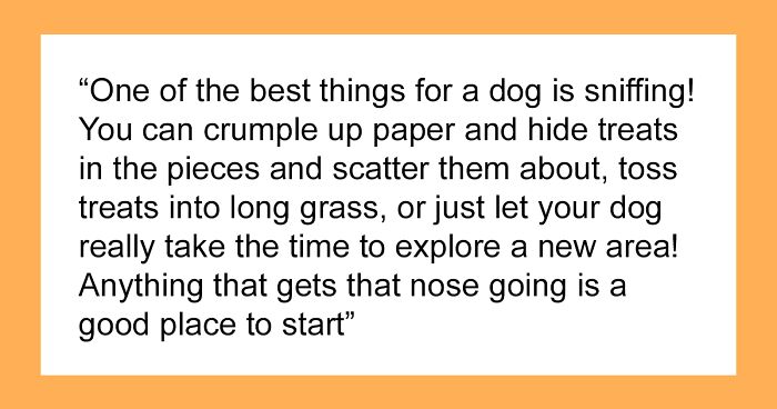 30 Things Pet Owners Should Know, According To Vets