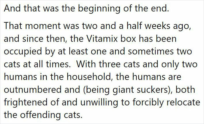 After 2.5-Week ‘War’ With 3 Cats, Woman Contacts Vitamix Asking For Empty Boxes To Replace The One Her Cats Took Over With New Blender Inside After 2.5-Week ‘War’ With 3 Cats, Woman Contacts Vitamix Asking For Empty Boxes To Replace The One Her Cats Took Over With New Blender Inside