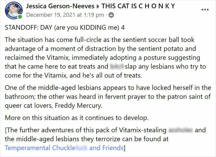 After 2.5-Week ‘War’ With 3 Cats, Woman Contacts Vitamix Asking For Empty Boxes To Replace The One Her Cats Took Over With New Blender Inside After 2.5-Week ‘War’ With 3 Cats, Woman Contacts Vitamix Asking For Empty Boxes To Replace The One Her Cats Took Over With New Blender Inside