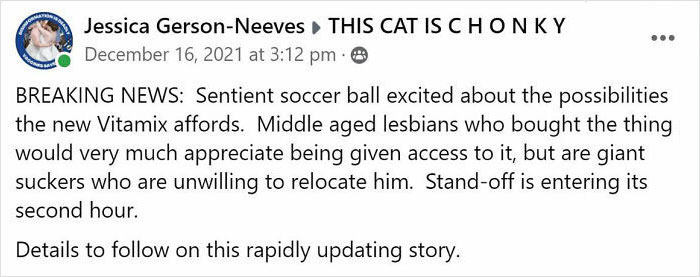 After 2.5-Week ‘War’ With 3 Cats, Woman Contacts Vitamix Asking For Empty Boxes To Replace The One Her Cats Took Over With New Blender Inside After 2.5-Week ‘War’ With 3 Cats, Woman Contacts Vitamix Asking For Empty Boxes To Replace The One Her Cats Took Over With New Blender Inside