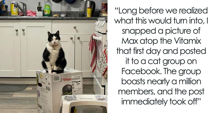 After 2.5-Week ‘War’ With 3 Cats, Woman Contacts Vitamix Asking For Empty Boxes To Replace The One Her Cats Took Over With New Blender Inside