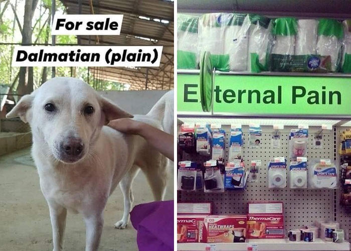 50 Cursed Adverts From ‘Ads With Threatening Auras’ (New Pics)