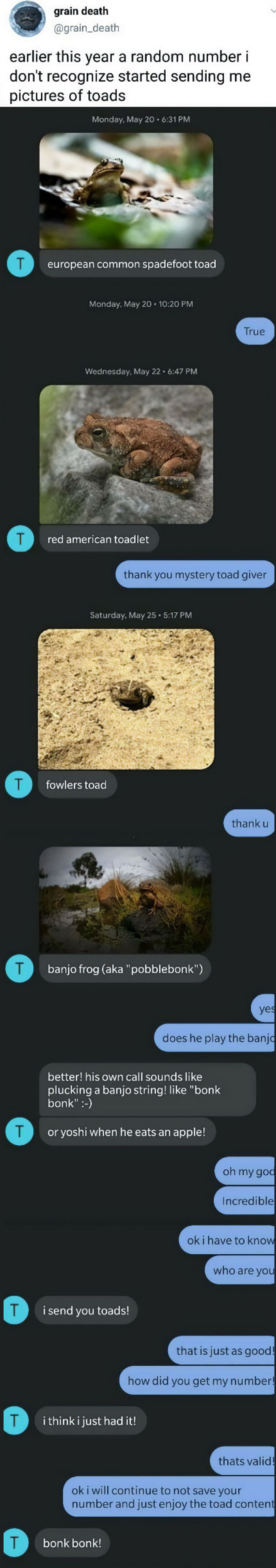 Blessed_toadgiver