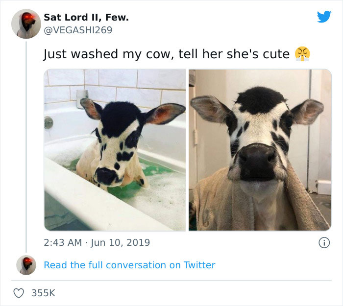 Blessed_cow