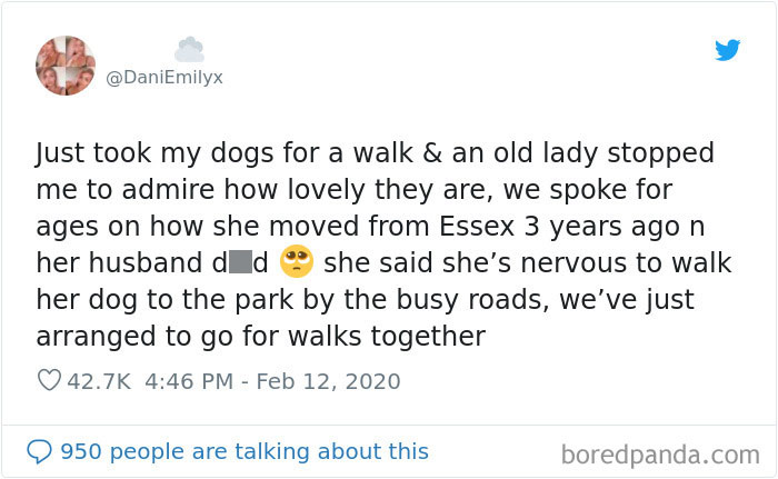 Always Love A Good Dog Walk Story