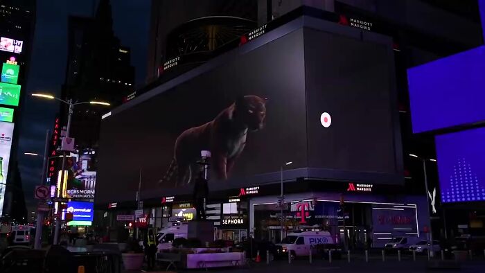 Giant Hyper-Realistic 3D Tiger Billboard Appears In World’s Biggest Metropolises, Mesmerizes The Passersby Giant Hyper-Realistic 3D Tiger Billboard Appears In World’s Biggest Metropolises, Mesmerizes The Passersby