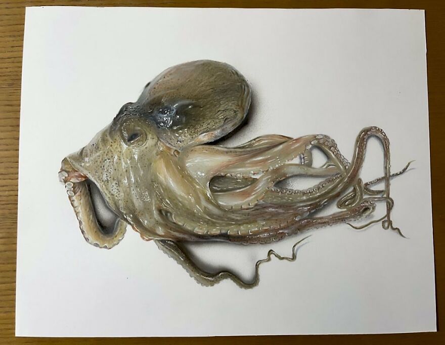 Japanese Artist Impresses With His 3D Drawings Using Only Colored Pencils (34 Pics)