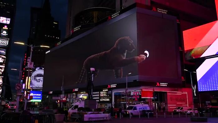 Giant Hyper-Realistic 3D Tiger Billboard Appears In World’s Biggest Metropolises, Mesmerizes The Passersby Giant Hyper-Realistic 3D Tiger Billboard Appears In World’s Biggest Metropolises, Mesmerizes The Passersby
