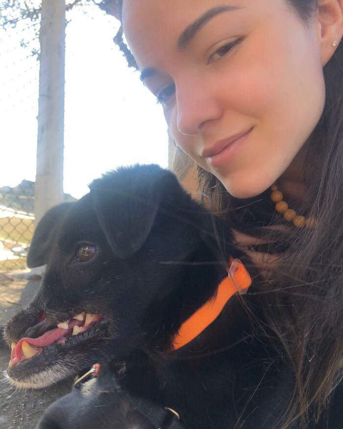 Meet Odin, the dog who lost part of his muzzle in an accident and still found kindness in his owner who adopted him after spending 3 years in a shelter