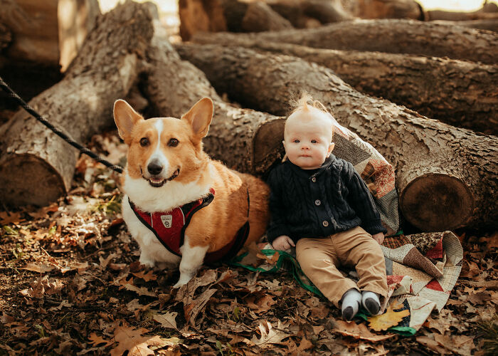 I Photograph Families And Their Dogs