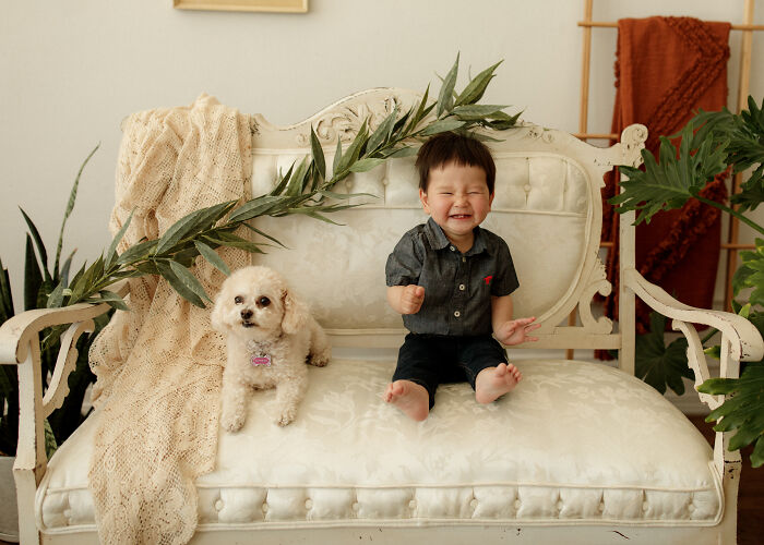 I Photograph Families And Their Dogs