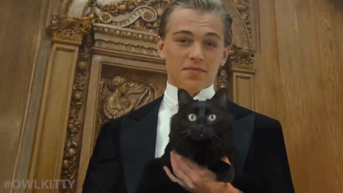 This Guy Improved "Titanic" By Editing His Cat Into It And The Result Is Hilarious This Guy Improved "Titanic" By Editing His Cat Into It And The Result Is Hilarious