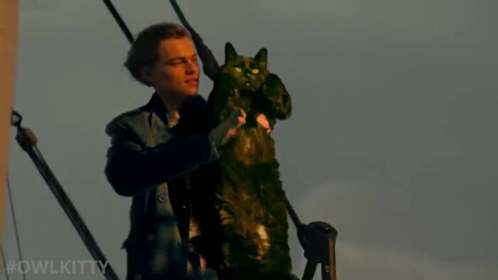 This Guy Improved "Titanic" By Editing His Cat Into It And The Result Is Hilarious This Guy Improved "Titanic" By Editing His Cat Into It And The Result Is Hilarious