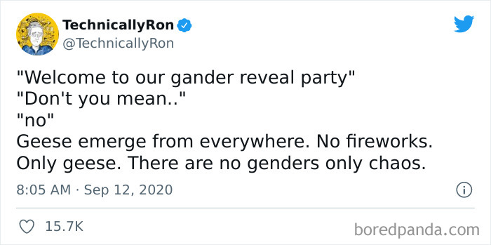 Welcome To Our Gander Reveal Party!