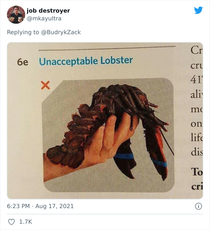 Lobster-Woman-Yeet-Memes-Twitter