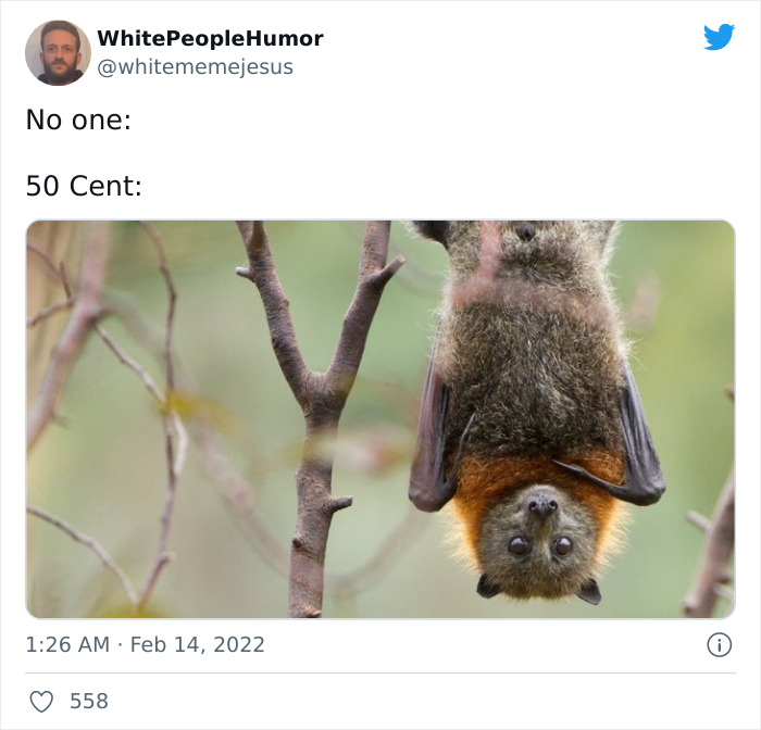 Super-Bowl-Reactions-2022-Twitter