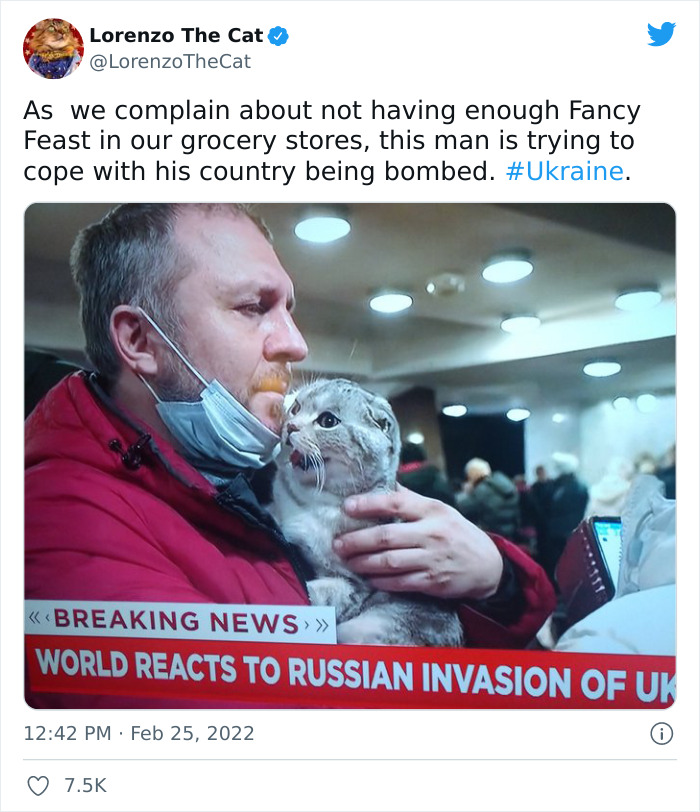 Ukraine-Invasion-Pets