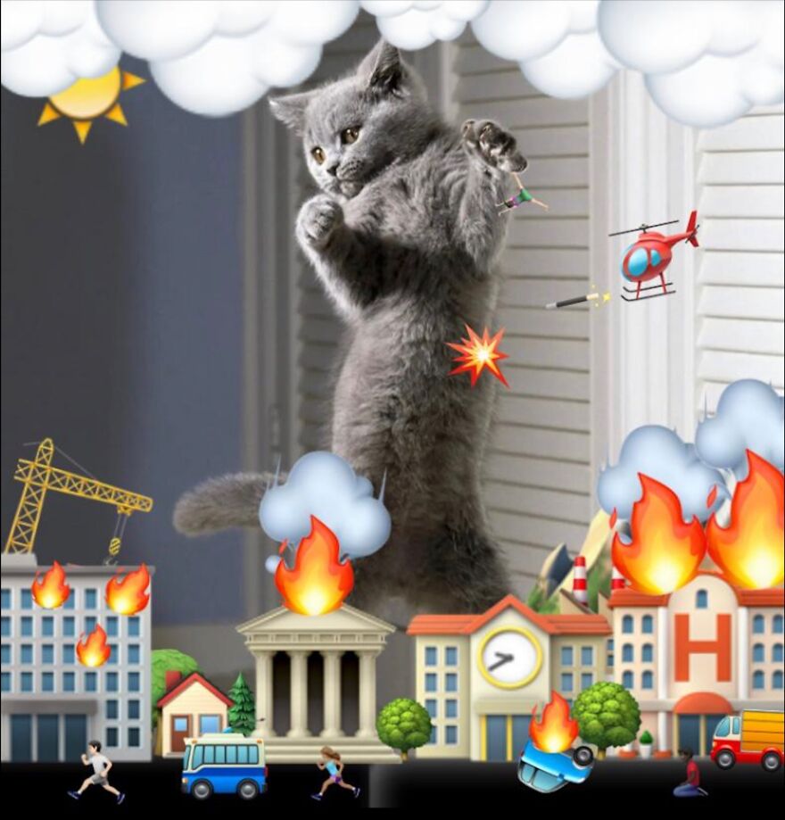 Kitty Cat The Destroyer!