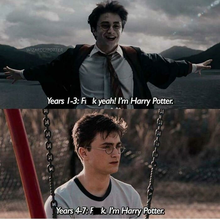 Truth Of Harry's Life
