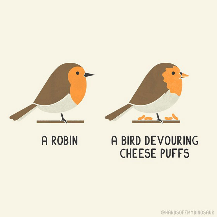 Robin Or Cheese Puff Bird