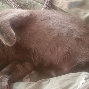 danielledillon avatar