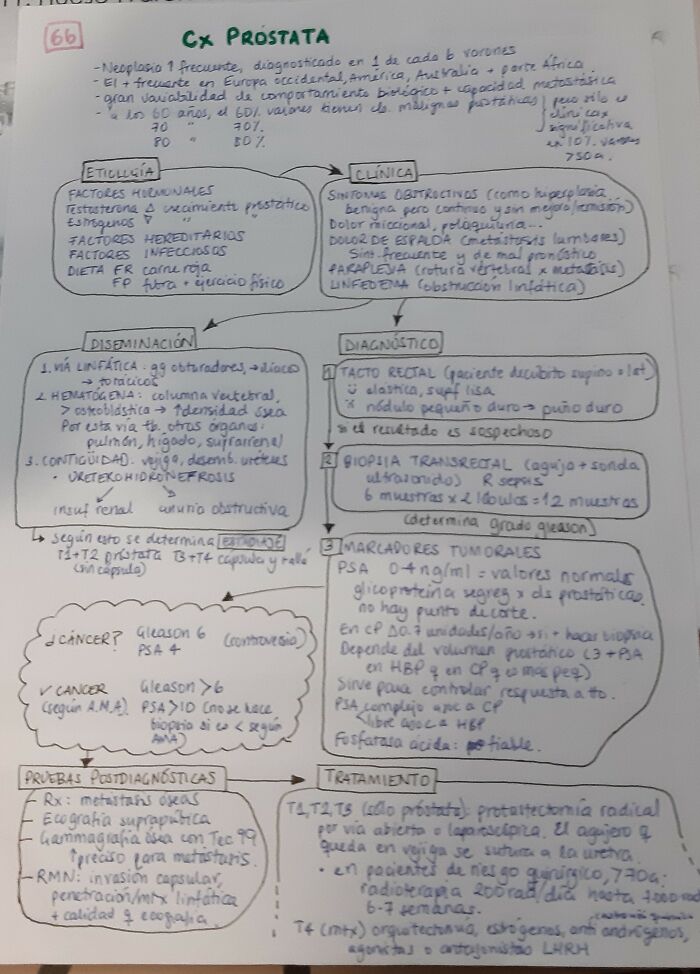 Summary Of A Class At Med School. My Present Handwriting As A Doctor, Definitely Not As Beautiful As When I Started. And More Painful To Write Now!
