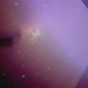 vaderraderpumpkinater avatar