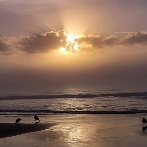 marlenepemberton avatar