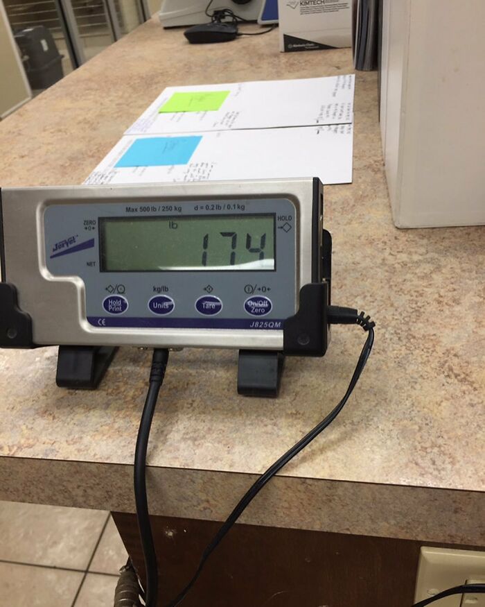 This Chihuahua Was Left In A Shelter To Be Euthanized Because Of Her Weight This Chihuahua Was Left In A Shelter To Be Euthanized Because Of Her Weight