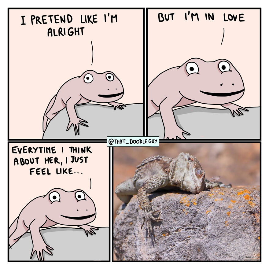 10 Wholesome Animal Comics About Love That Will Make Your Valentine's Day