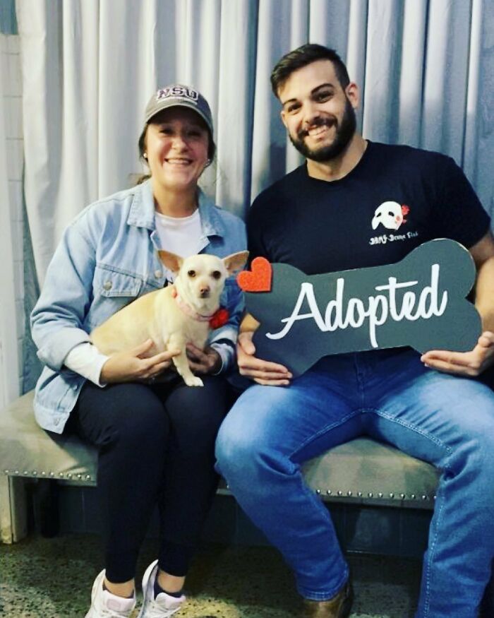 This Chihuahua Was Left In A Shelter To Be Euthanized Because Of Her Weight This Chihuahua Was Left In A Shelter To Be Euthanized Because Of Her Weight