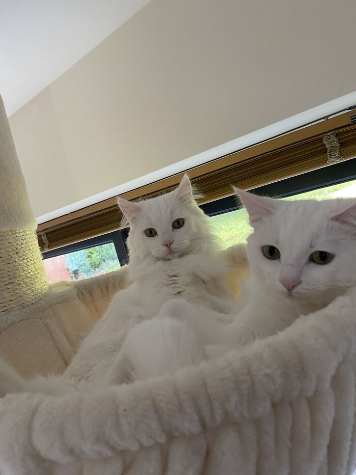 Casper & Boo - Nothing To See Here!