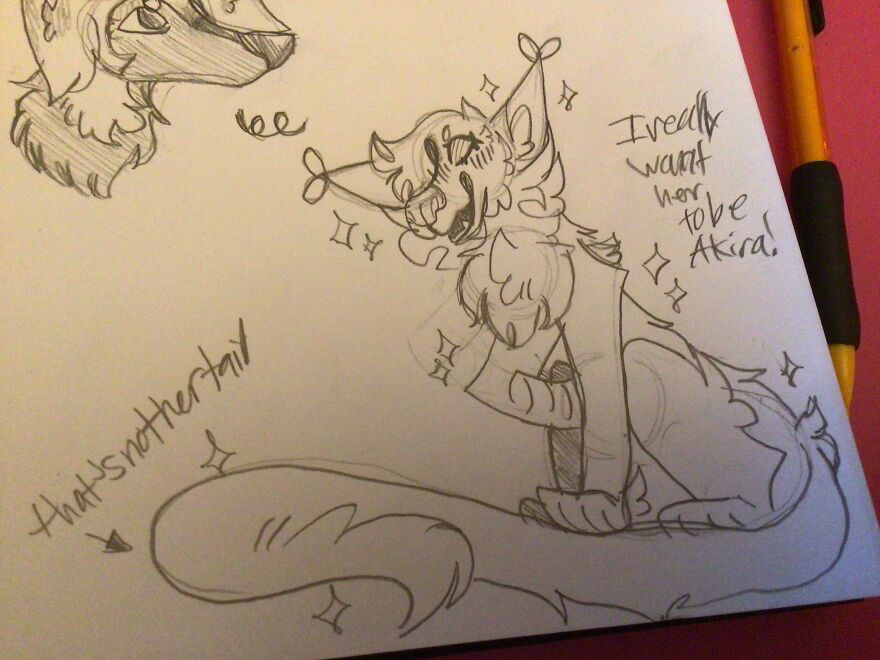 I Drew All Of These Over The Past Year Of 2022 And 2021! I’m Only 11, Improvements!